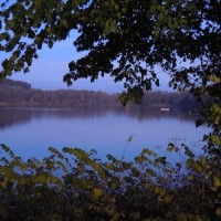 Stadtweiher und Ellerazhofer Weiher Leutkirch